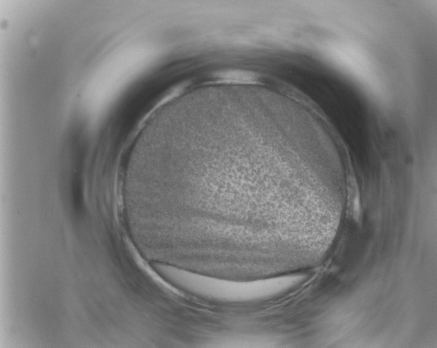 X0000065981487200603172102