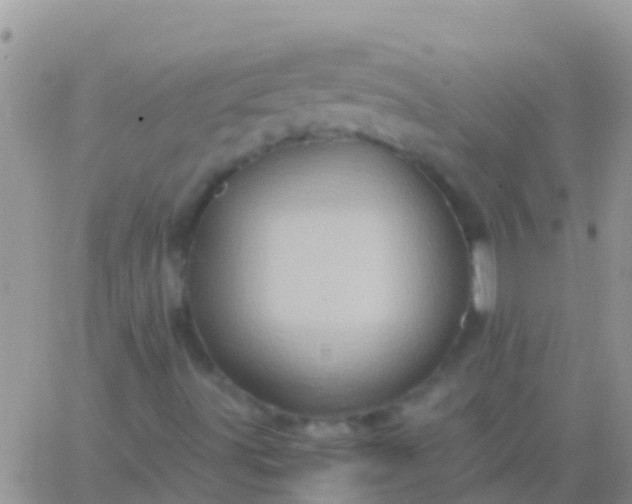 X0000065981491200603172102