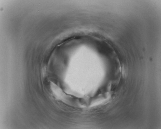 X0000065981492200603172102