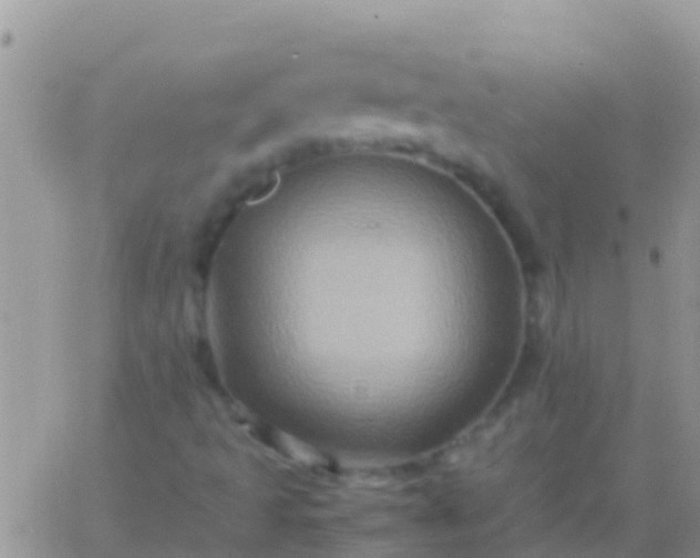 X0000065981493200603172102