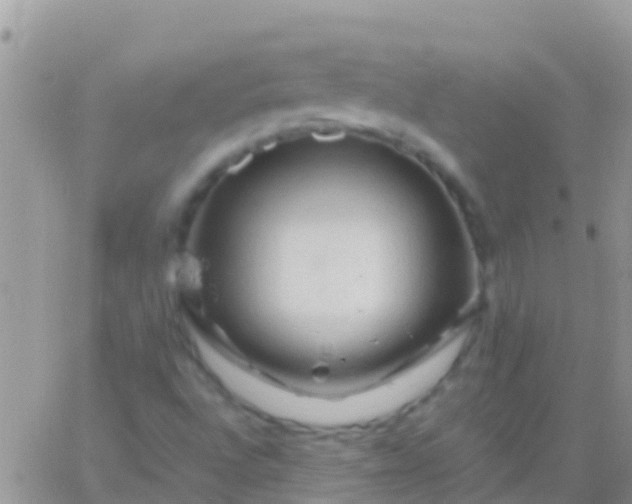 X0000065981496200603172102