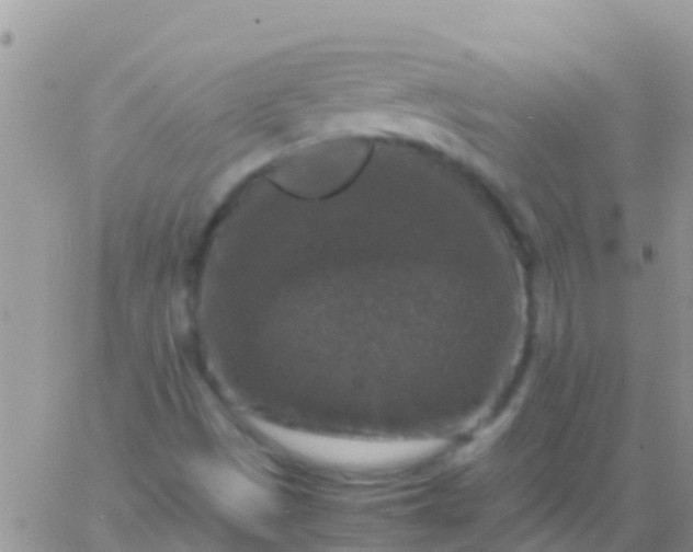 X0000065981497200603172102