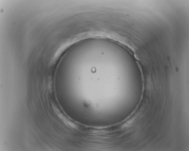 X0000065981499200603172102