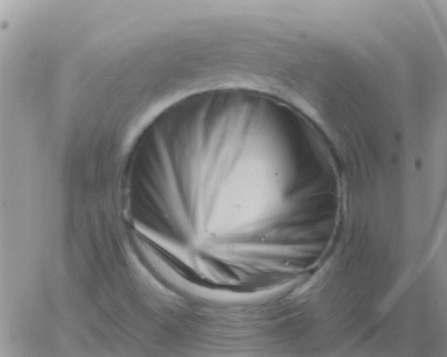 X0000065981500200603172102