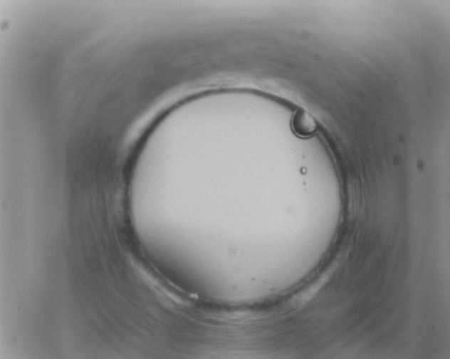 X0000065981502200603172102