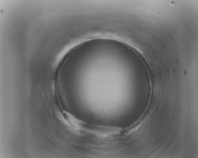 X0000065981503200603172102