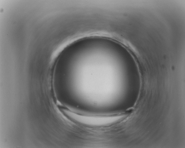 X0000065981504200603172102