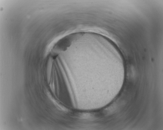 X0000065981507200603172102