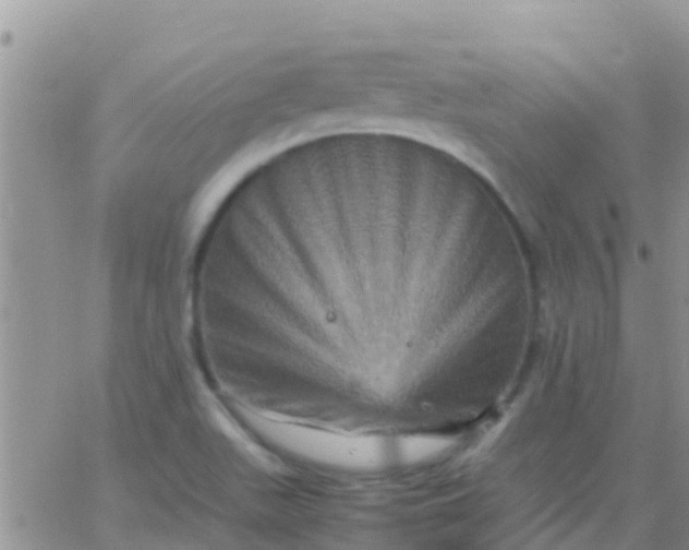 X0000065981511200603172102