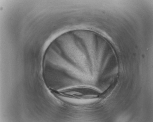 X0000065981512200603172102