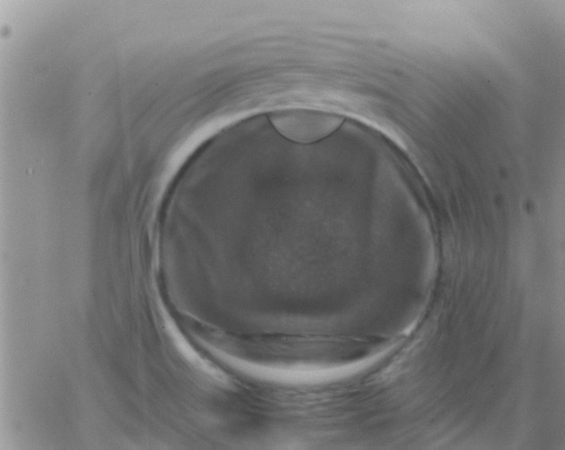 X0000065981515200603172102