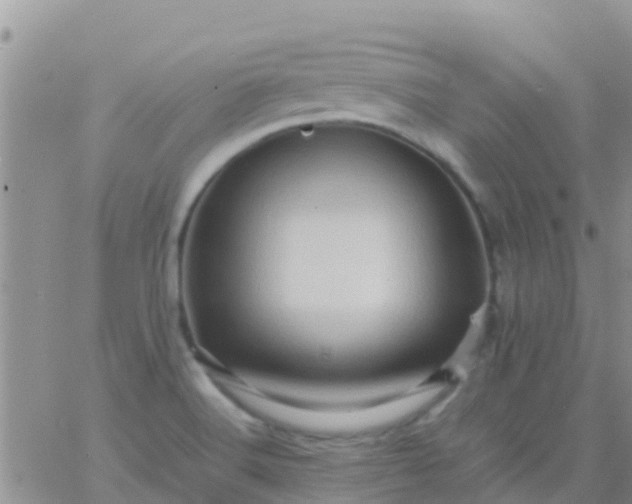 X0000065981516200603172102