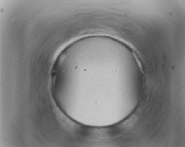 X0000065981518200603172102