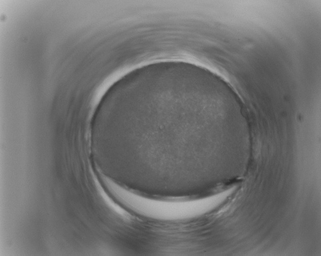 X0000065981519200603172102