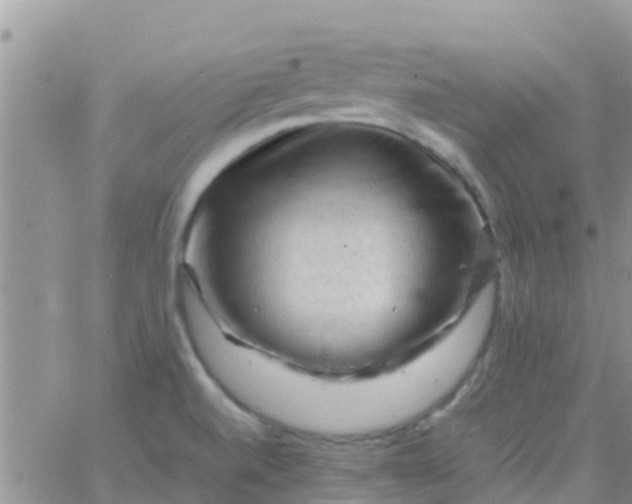 X0000065981520200603172102