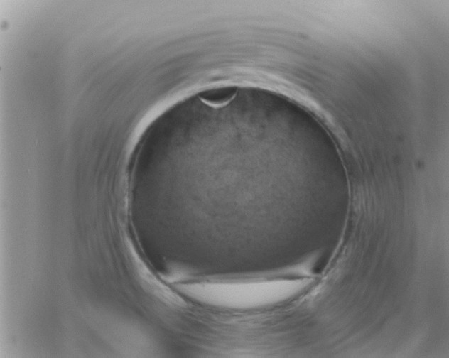 X0000065981522200603172102