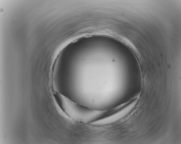 X0000065981528200603172102