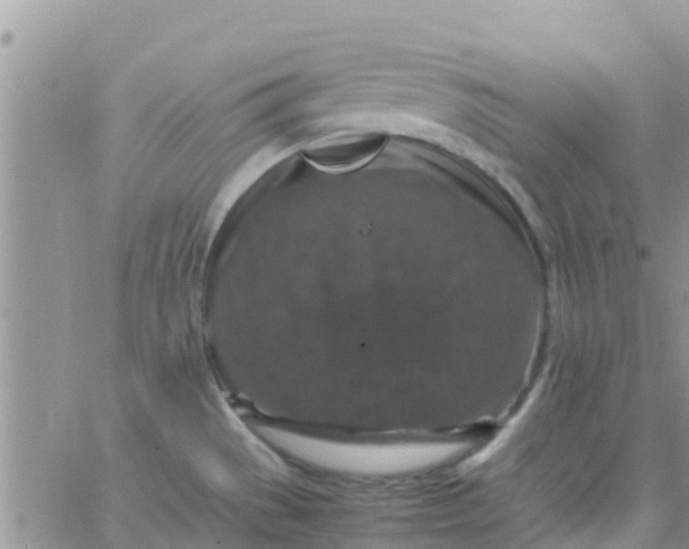 X0000065981529200603172102