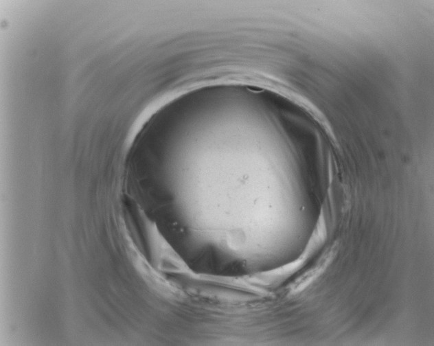 X0000065981530200603172102