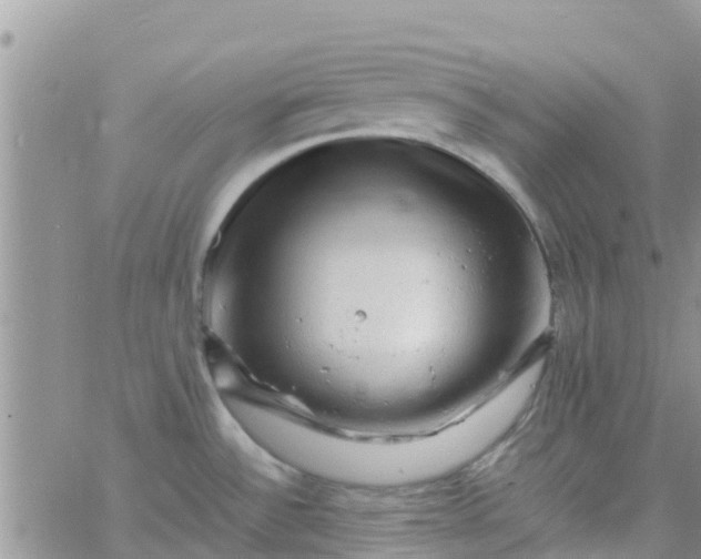 X0000065981532200603172102