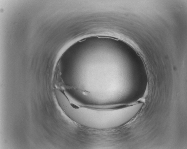 X0000065981536200603172102