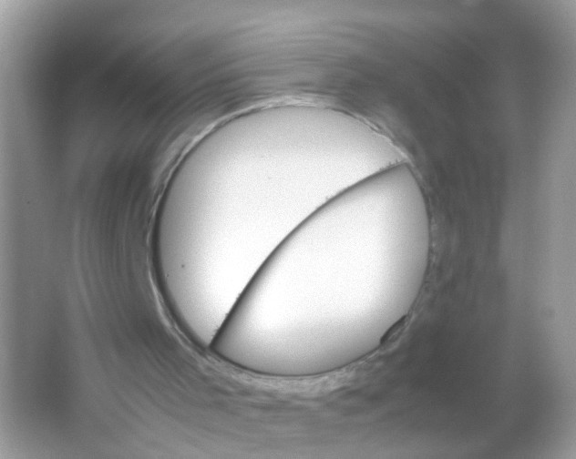 X0000065980001200603241951