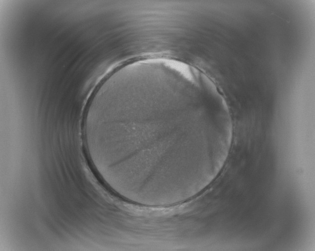 X0000065980002200603241951