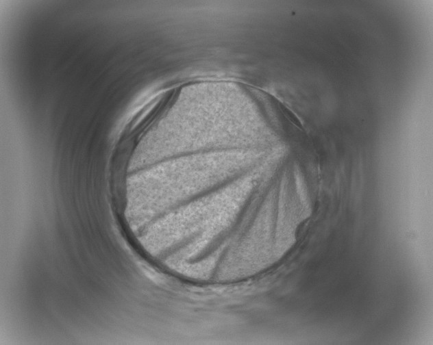 X0000065980005200603241951