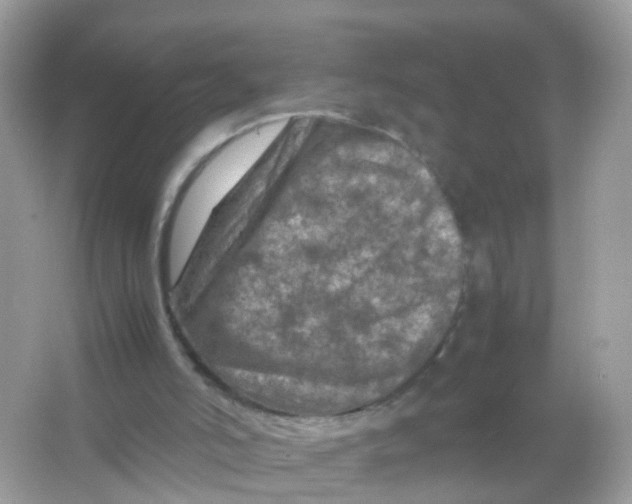 X0000065980006200603241951