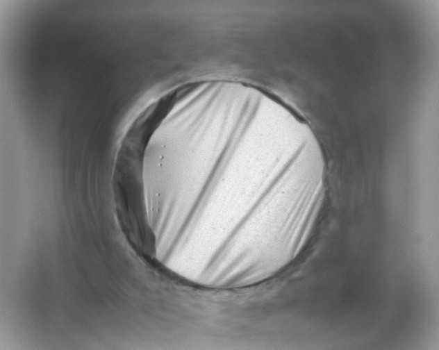 X0000065980007200603241951