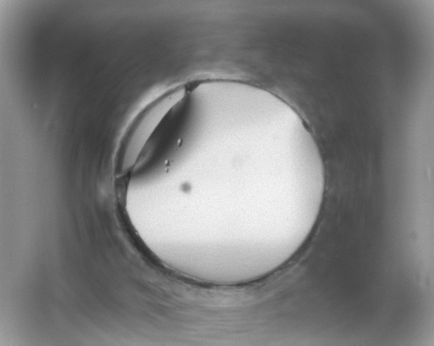 X0000065980008200603241951