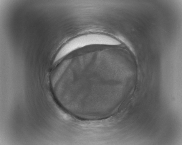 X0000065980009200603241951