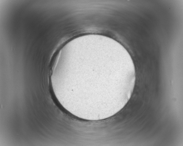 X0000065980011200603241951