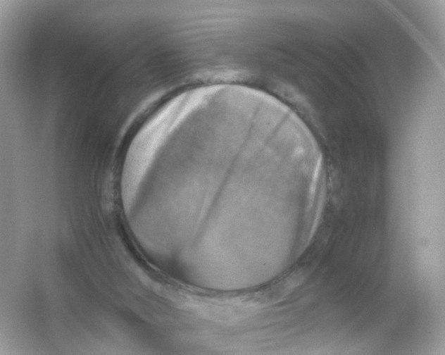 X0000065980012200603241951