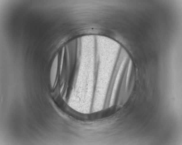 X0000065980013200603241951