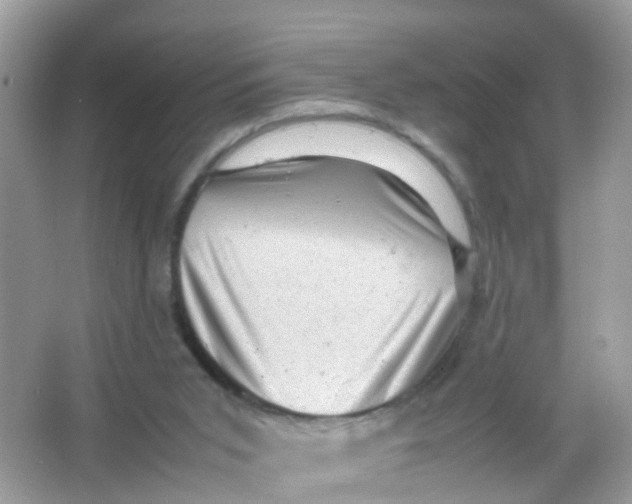 X0000065980015200603241951