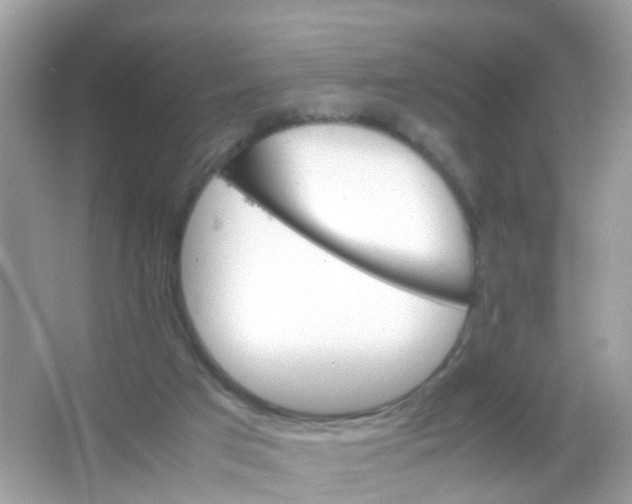 X0000065980017200603241951