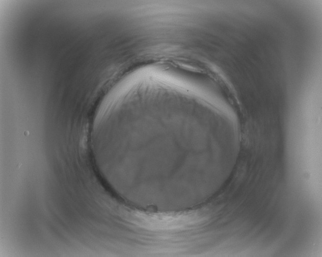 X0000065980018200603241951