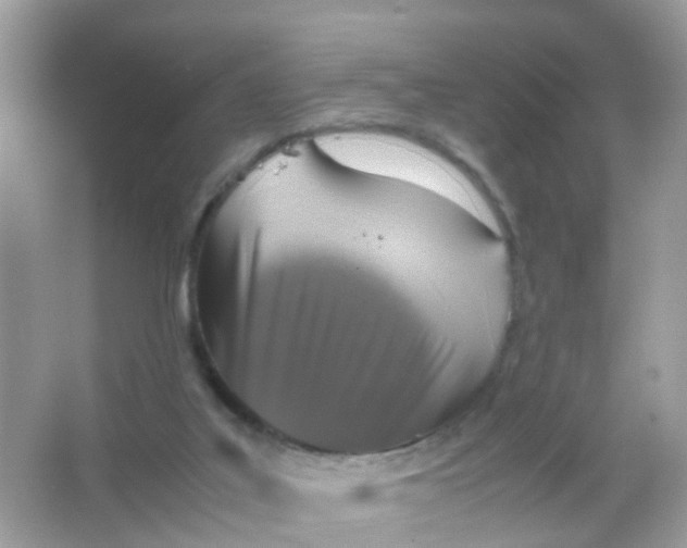 X0000065980019200603241951