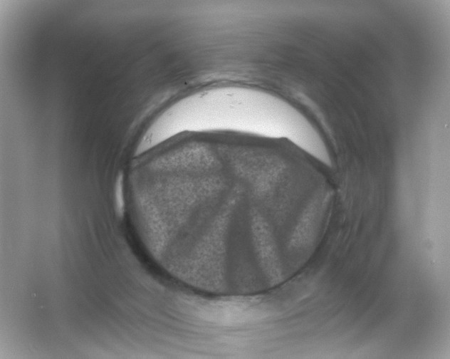 X0000065980020200603241951