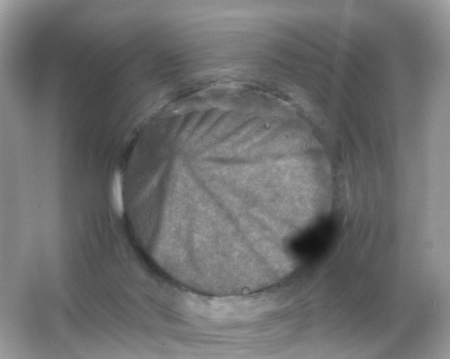 X0000065980022200603241951