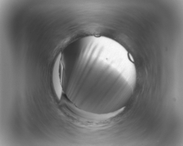 X0000065980023200603241951