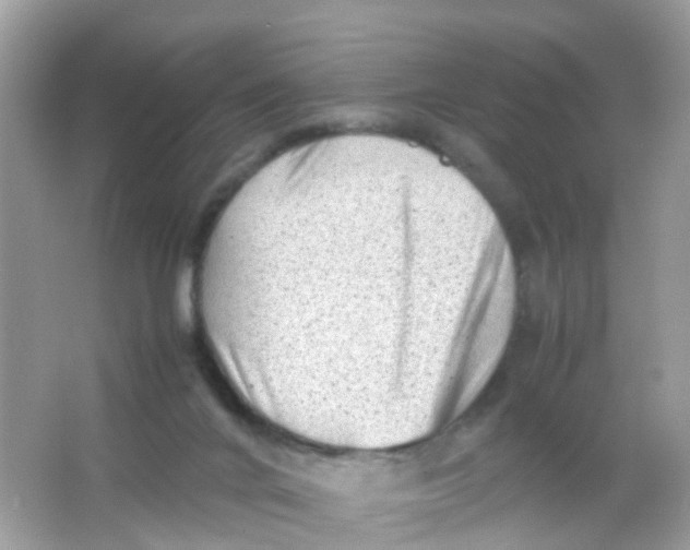 X0000065980024200603241951