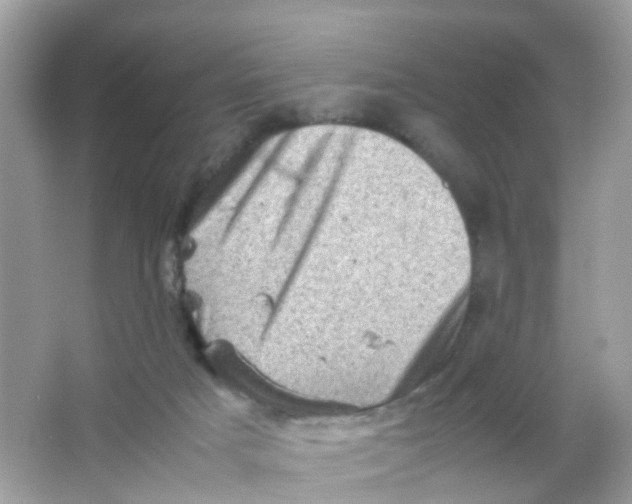 X0000065980025200603241951