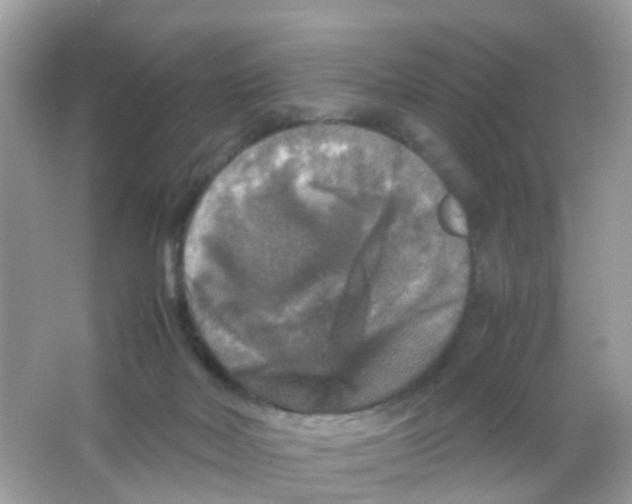 X0000065980026200603241951