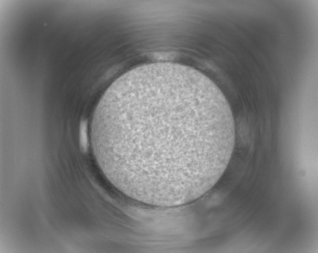 X0000065980028200603241951