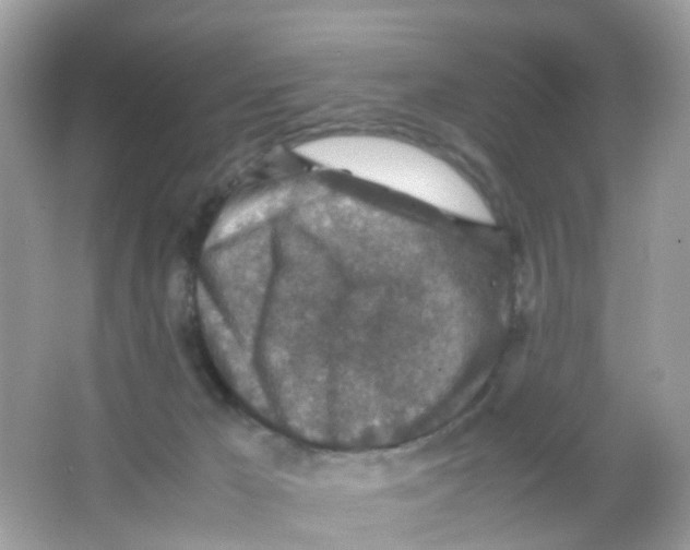 X0000065980029200603241951