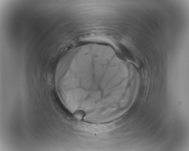 X0000065980031200603241951