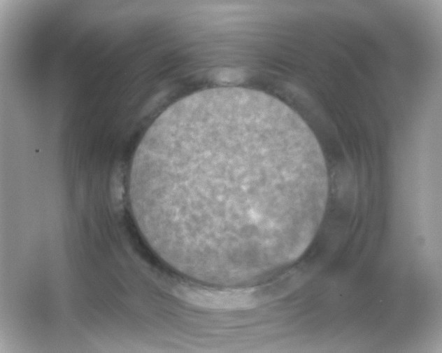 X0000065980032200603241951