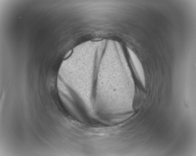 X0000065980033200603241951